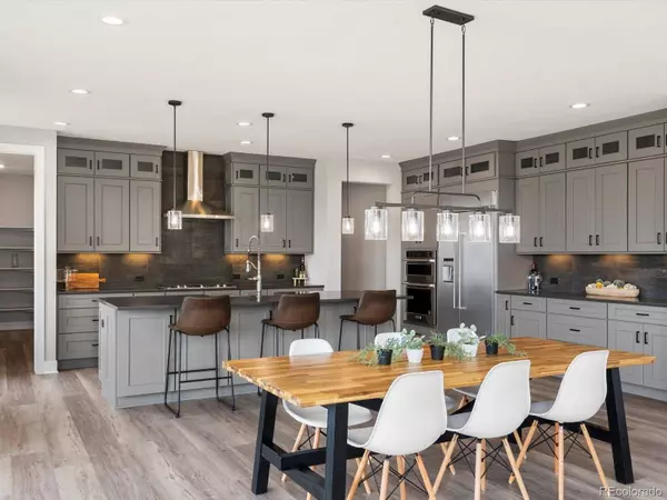 730 Edenborn PL, Castle Rock, CO 80104