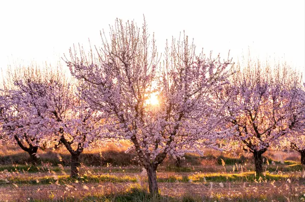 feature image of Spring Cleaning