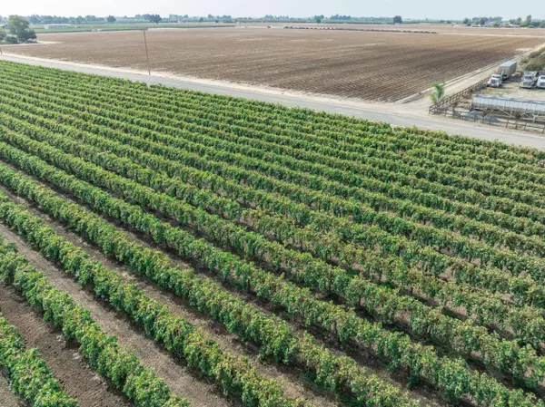 21846 Fremont Avenue, Lemoore, CA 93245