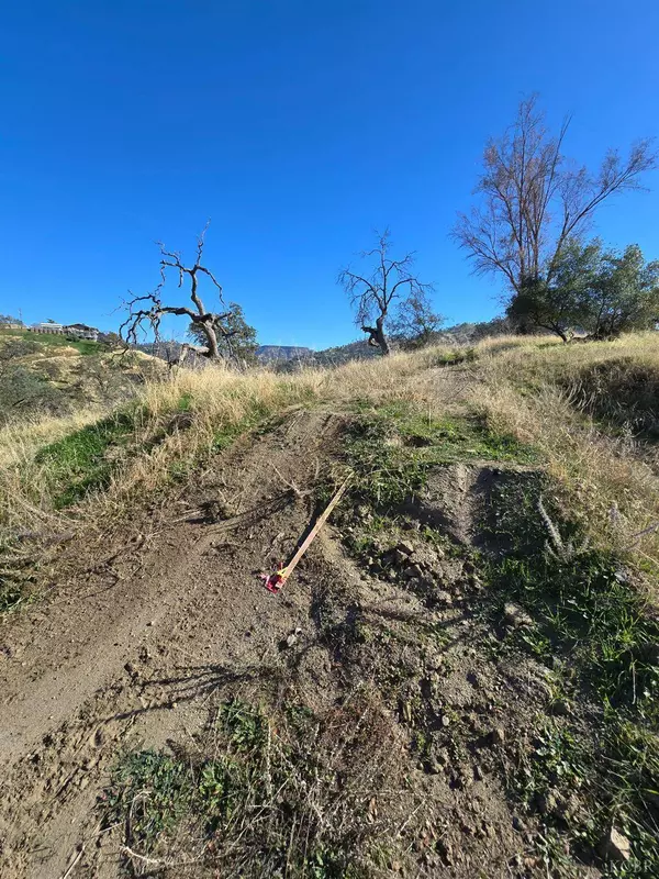 20600 Galileo Court, Friant, CA 93626