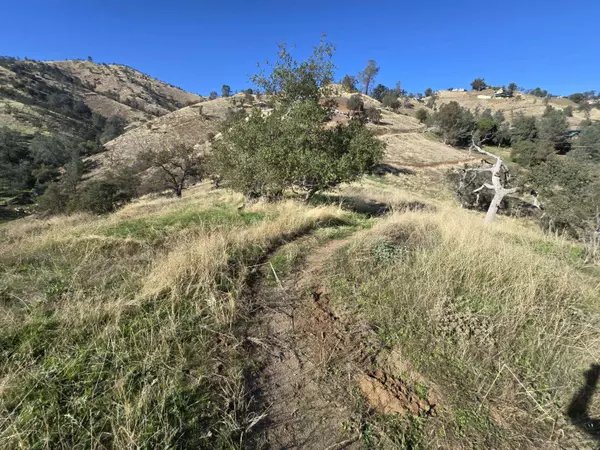 20600 Galileo Court, Friant, CA 93626