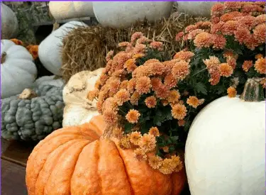 Your Home in North Texas This Fall: Is It Still a Good Time to List?