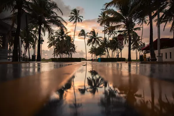 feature image of Hidden Gems and Local Favorites: Discovering Miami Beyond the Beaches