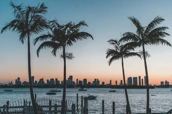 How to Buy a Home in Florida From Out-of-State,The Zimmern Team At Levin Rinke Realty