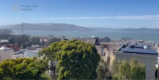 Pacific Heights Neighborhood Overview
