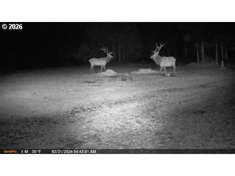 7857 SKYLINE RD, The Dalles, OR 97058