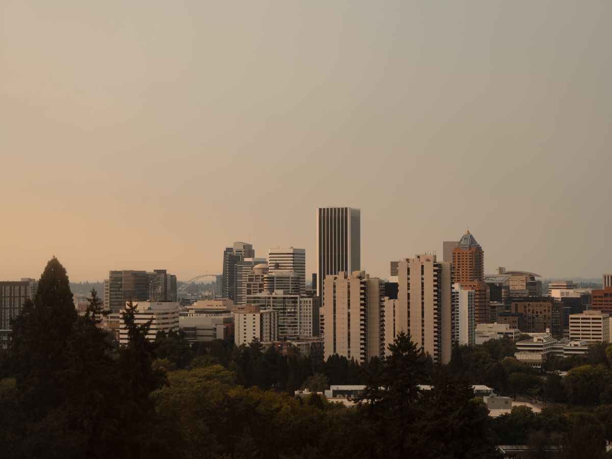 Portland, Oregon skyline framed by trees at sunset