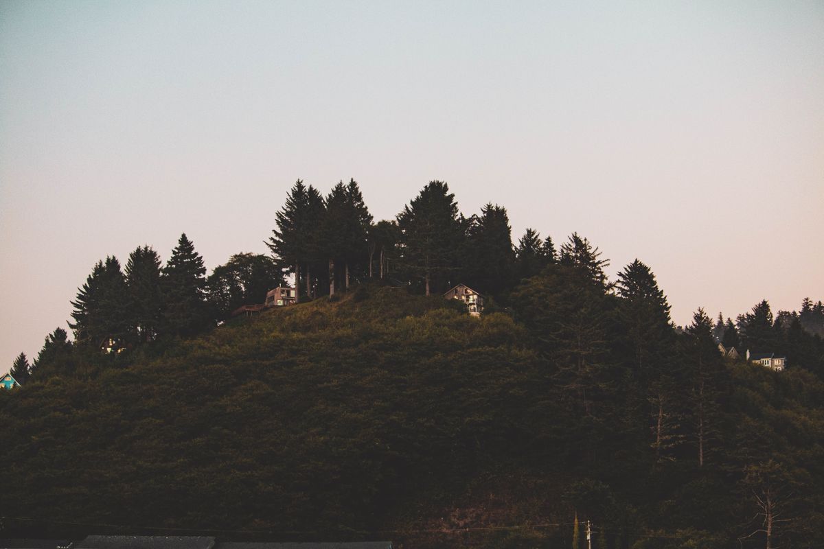 Home set among trees on a forested hill at twilight
