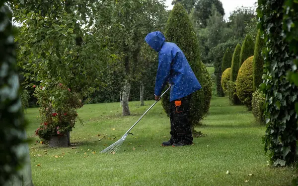 Gardener in a rain jacket raking autumn leaves in a park