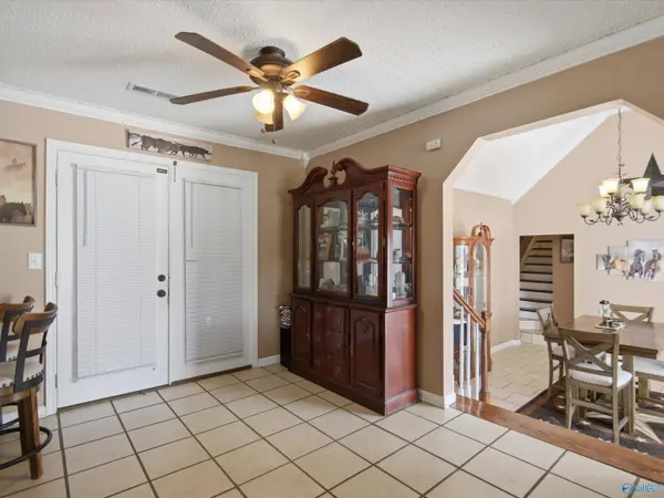2003 County Road 234, Moulton, AL 35650