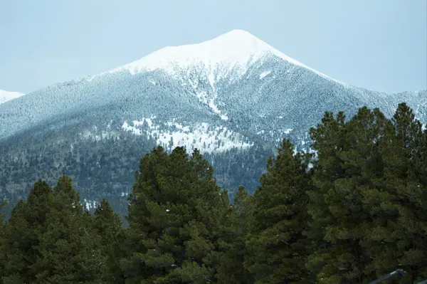 feature image of Living in Flagstaff Year-Round: What to Expect