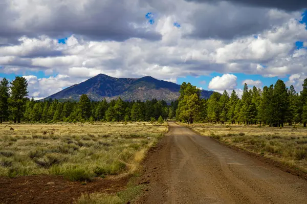 Is Flagstaff Turning Into a Buyer's Market? | The Brief: Flagstaff Market Report, September 2026