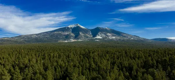Buying and Running a Short-Term Rental in Flagstaff: The Complete 2026 Guide