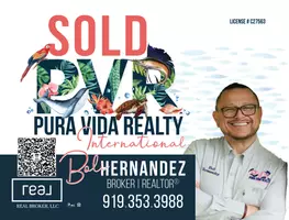 PURA VIDA REALTY INT POWER BY REAL BROKER LLC
