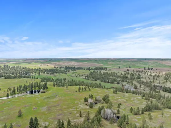 XXX Vacant Land, Rosalia, WA 99170