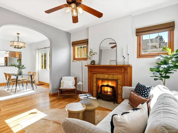 246 S Grant ST, Denver, CO 80209