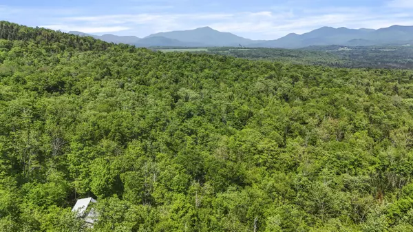 359 Bear Cub LN, Lake Placid, NY 12946