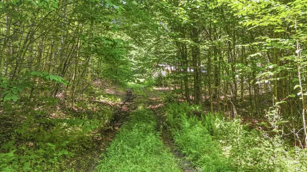 359 Bear Cub LN, Lake Placid, NY 12946