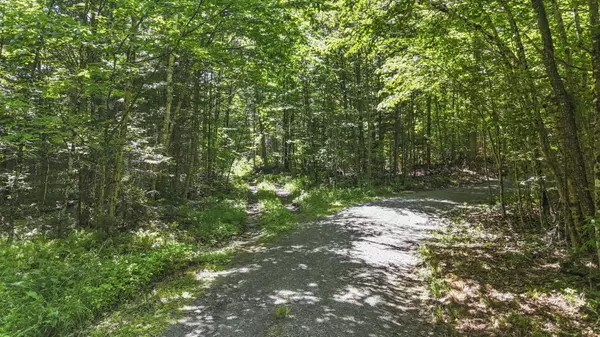 359 Bear Cub LN, Lake Placid, NY 12946