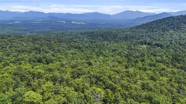 359 Bear Cub LN, Lake Placid, NY 12946