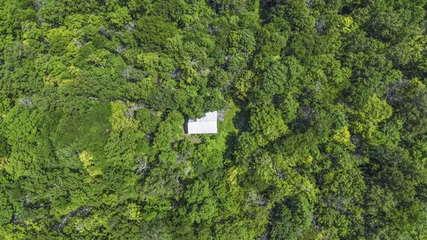 359 Bear Cub LN, Lake Placid, NY 12946