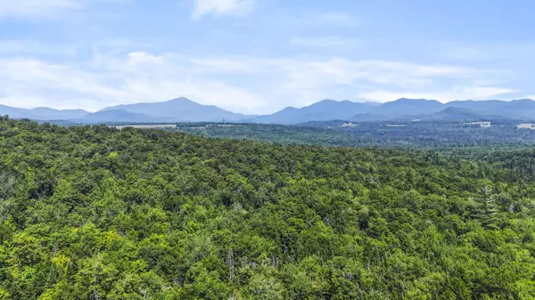 359 Bear Cub LN, Lake Placid, NY 12946