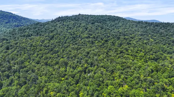 359 Bear Cub LN, Lake Placid, NY 12946