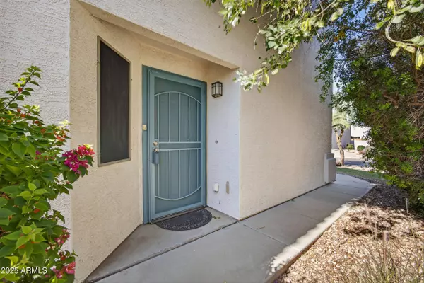 155 W BRANGUS Way, San Tan Valley, AZ 85143