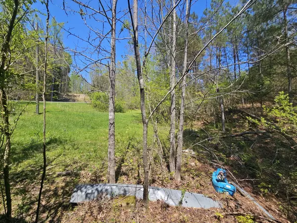 5005 Bunches Chapel Rd, Parsons, TN 38363