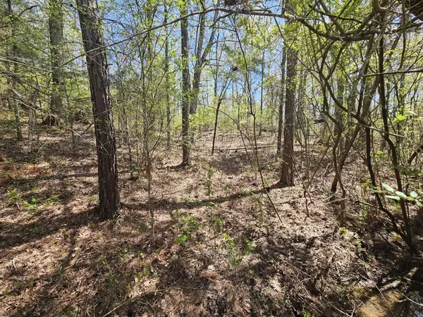 5005 Bunches Chapel Rd, Parsons, TN 38363