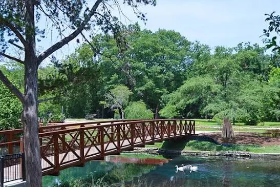 New Braunfels