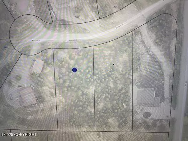 L13A B4H Viola CIR, Anchorage, AK 99516