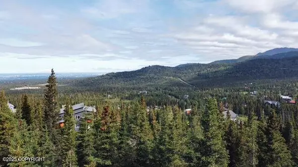 L13A B4H Viola CIR, Anchorage, AK 99516