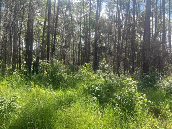 10680 DELGADO AVE, Hastings, FL 32145