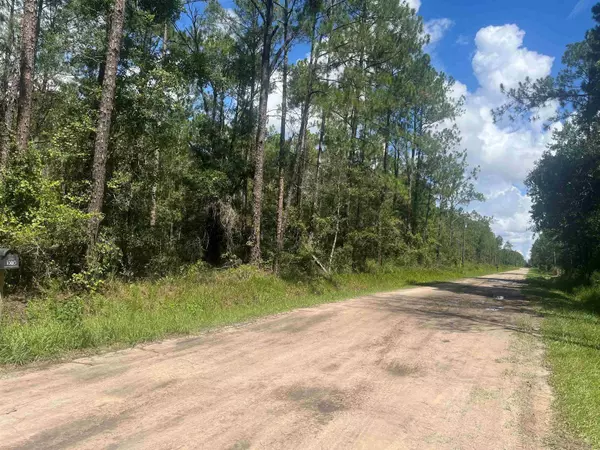 10680 DELGADO AVE, Hastings, FL 32145