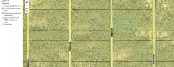 10680 DELGADO AVE, Hastings, FL 32145