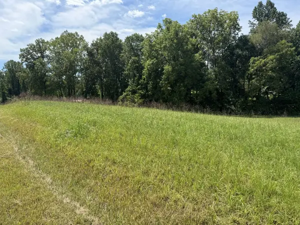 0 Shawna St, Mcminnville, TN 37110