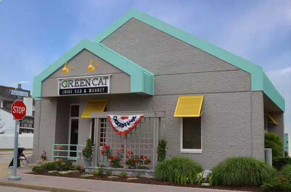Why The Green Cat Virginia Is My Go-To Spot for Delicious, Healthy Eats