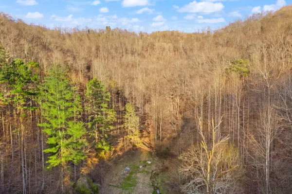 15100 State Highway 194, Pikeville, KY 41501