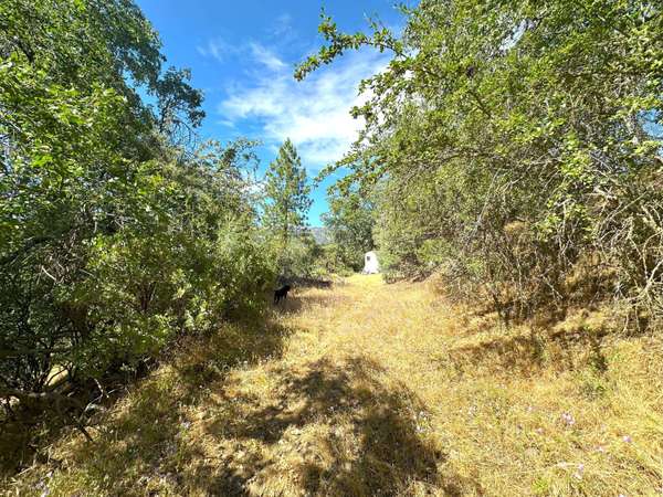 Lot 7 Pine Flat Drive, California Hot Springs, CA 93207
