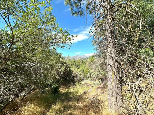 Lot 7 Pine Flat Drive, California Hot Springs, CA 93207
