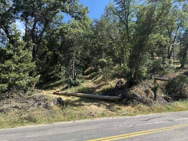Lot 7 Pine Flat Drive, California Hot Springs, CA 93207
