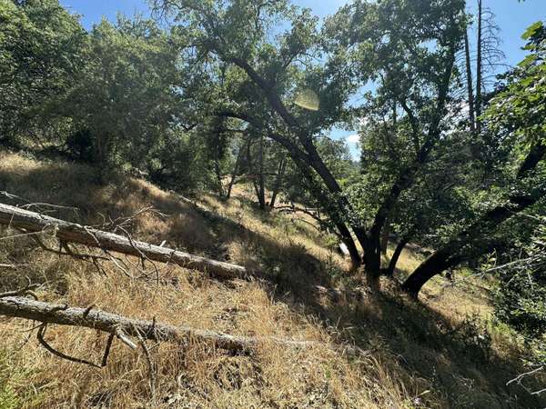 Lot 7 Pine Flat Drive, California Hot Springs, CA 93207