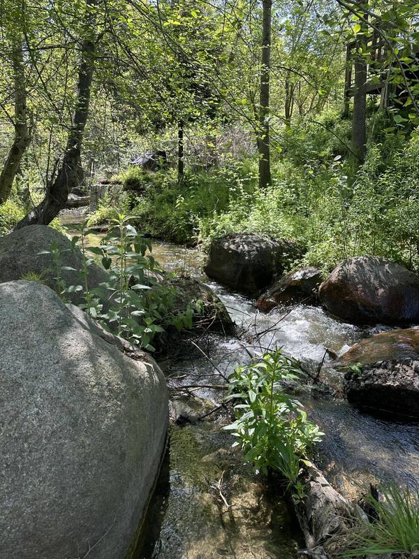 44127 Pine Flat Drive, California Hot Springs, CA 93207