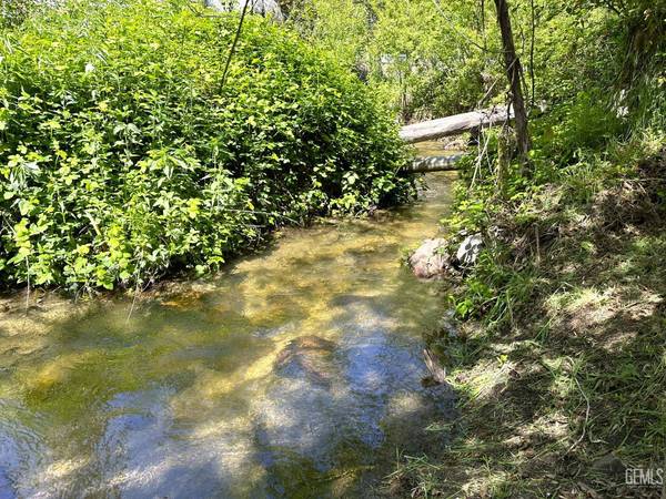 44127 Pine Flat Drive, Cal Hot Springs, CA 93207