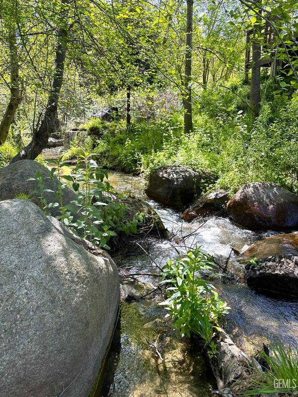 44127 Pine Flat Drive, Cal Hot Springs, CA 93207