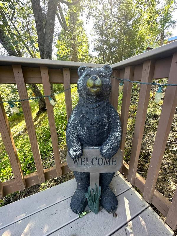 45288 Manter Meadow Drive, California Hot Springs, CA 93207