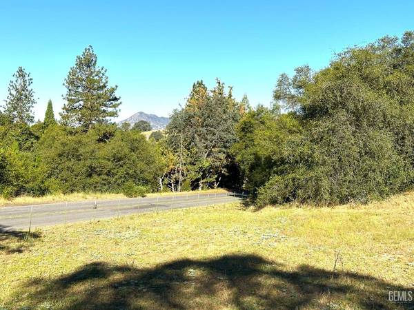 43150 Hot Springs Drive, Cal Hot Springs, CA 93207