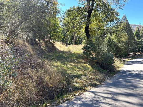 Lot 1 Manter Meadow Drive