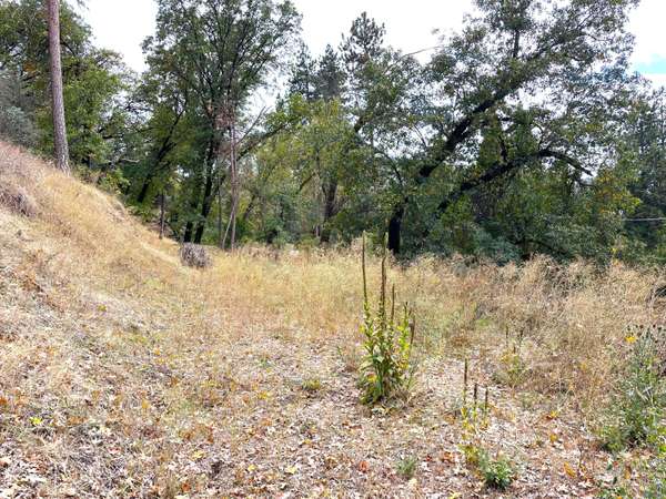 Lot 1 Manter Meadow Drive, California Hot Springs, CA 93207